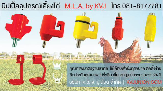 อุปกรณ์เลี้ยงไก่